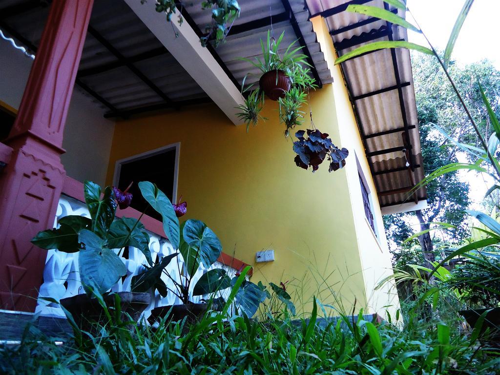 Sigiri Sithru Home Stay Sigirija Zewnętrze zdjęcie