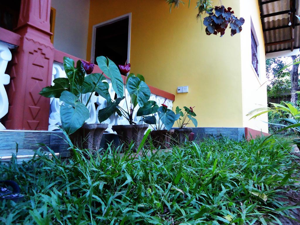 Sigiri Sithru Home Stay Sigirija Zewnętrze zdjęcie
