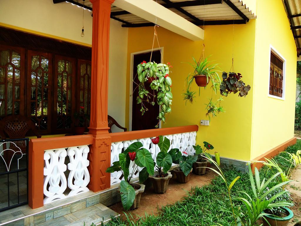 Sigiri Sithru Home Stay Sigirija Zewnętrze zdjęcie